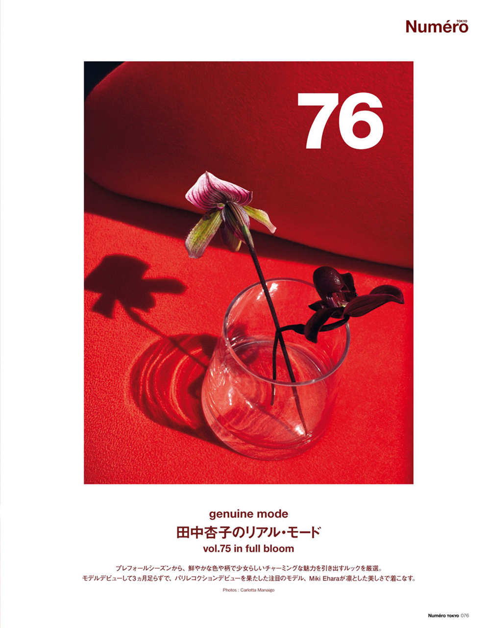 Numéro Japan, June 2017 | Carlotta Manaigo | Il Gufo | Numéro | Haidee Findlay-Levin | Numerique Retouch Photo Retouching Studio
